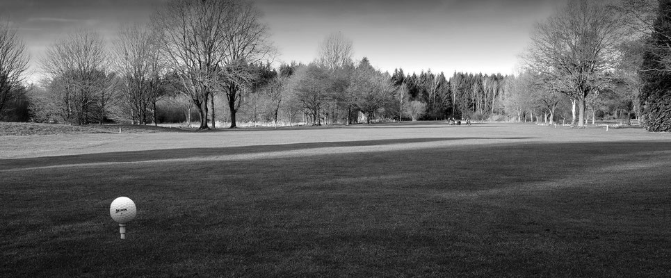 Uwe Eckardt "Golfplatz am Morgen"