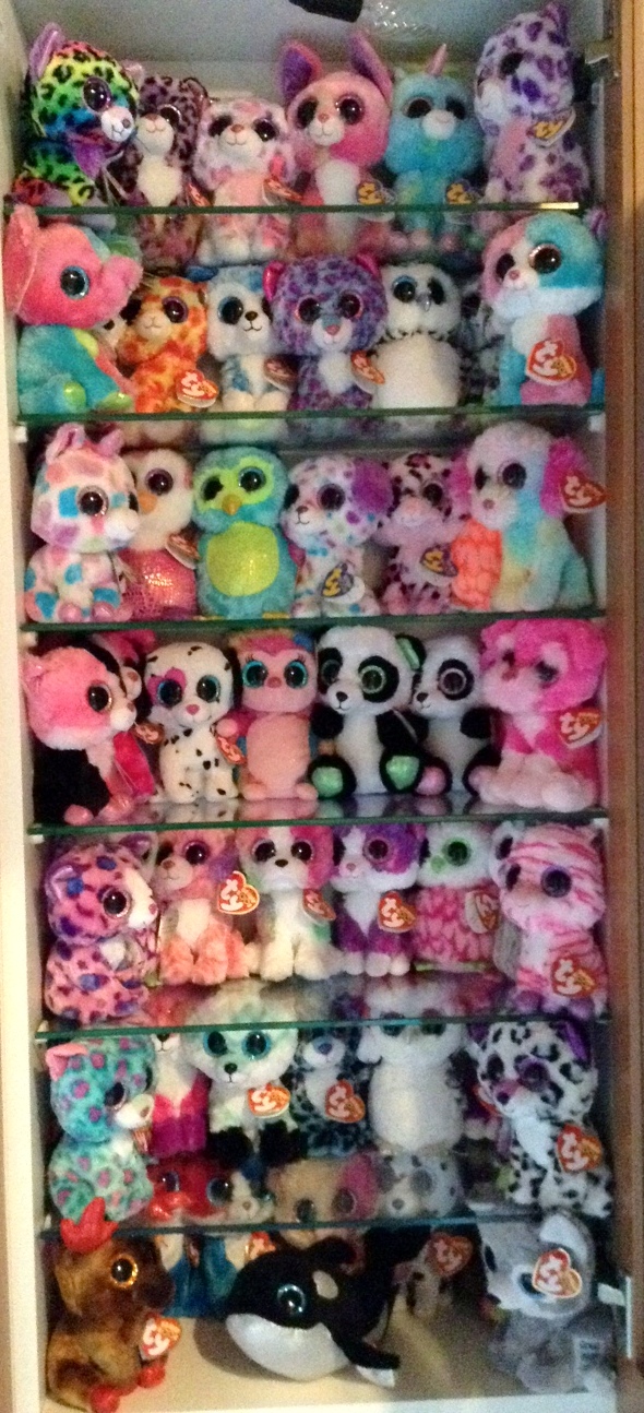 My collection Beanie Boo collection website!