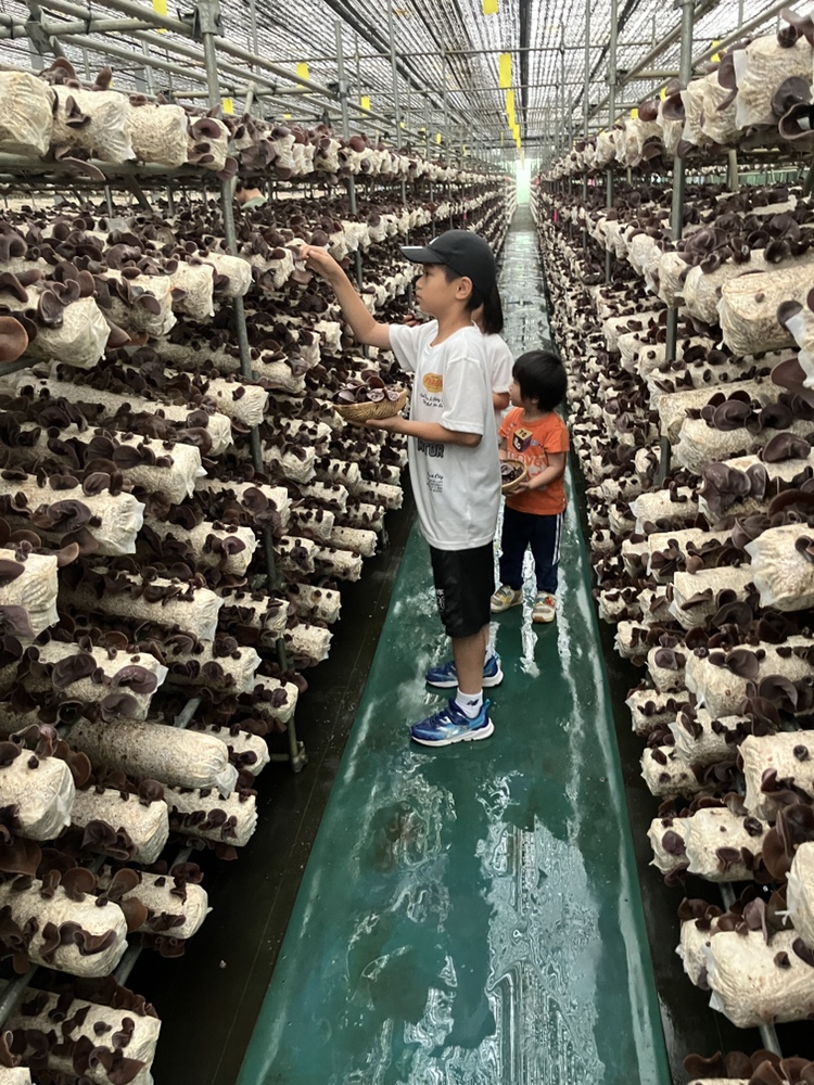 収穫体験