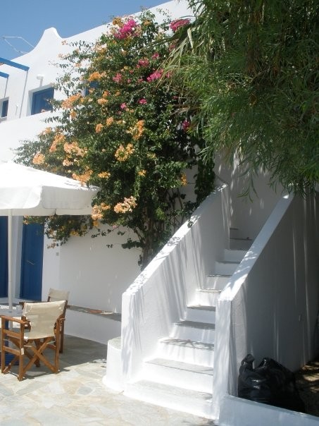 communal terrace