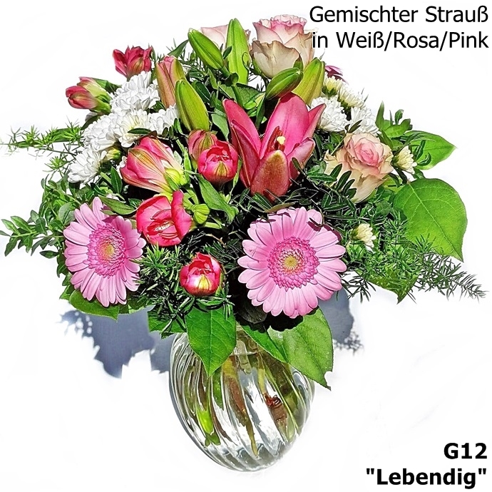 G12: Lebendig