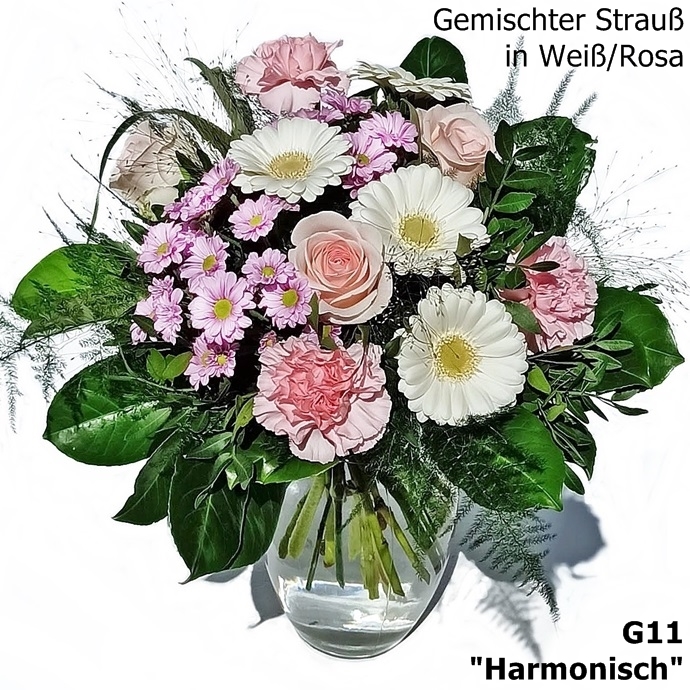 G11: Harmonisch