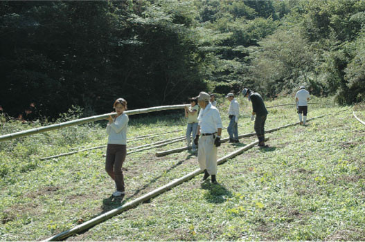 Carrying bamboo away from the cutting site, 2006