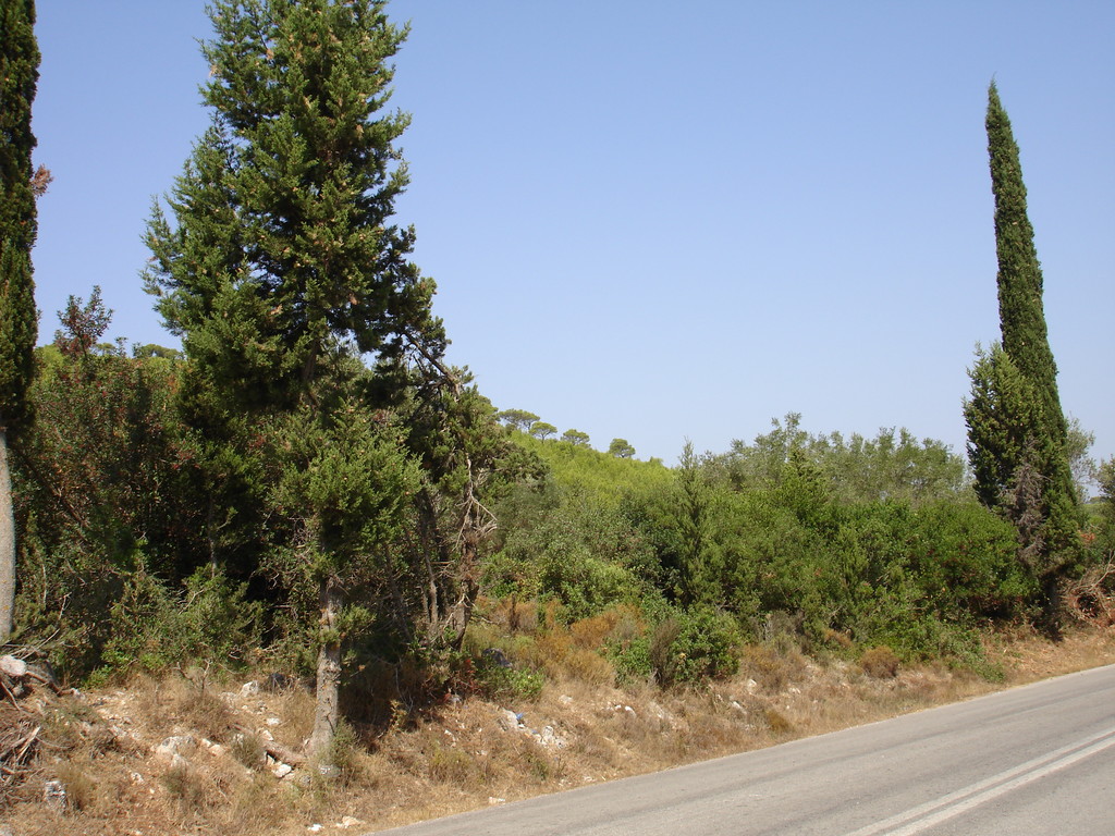 typische Landschaft auf Zakynthos