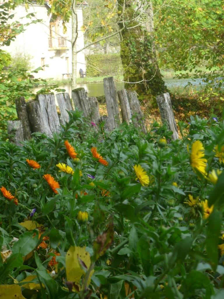 Au bord du chemin