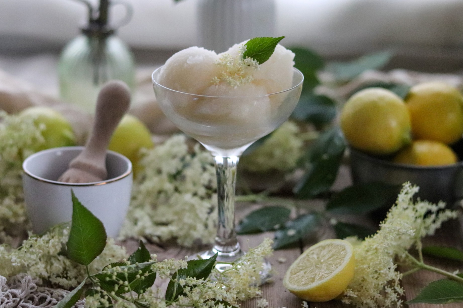 Proseccosorbet mit Holunderblütensirup