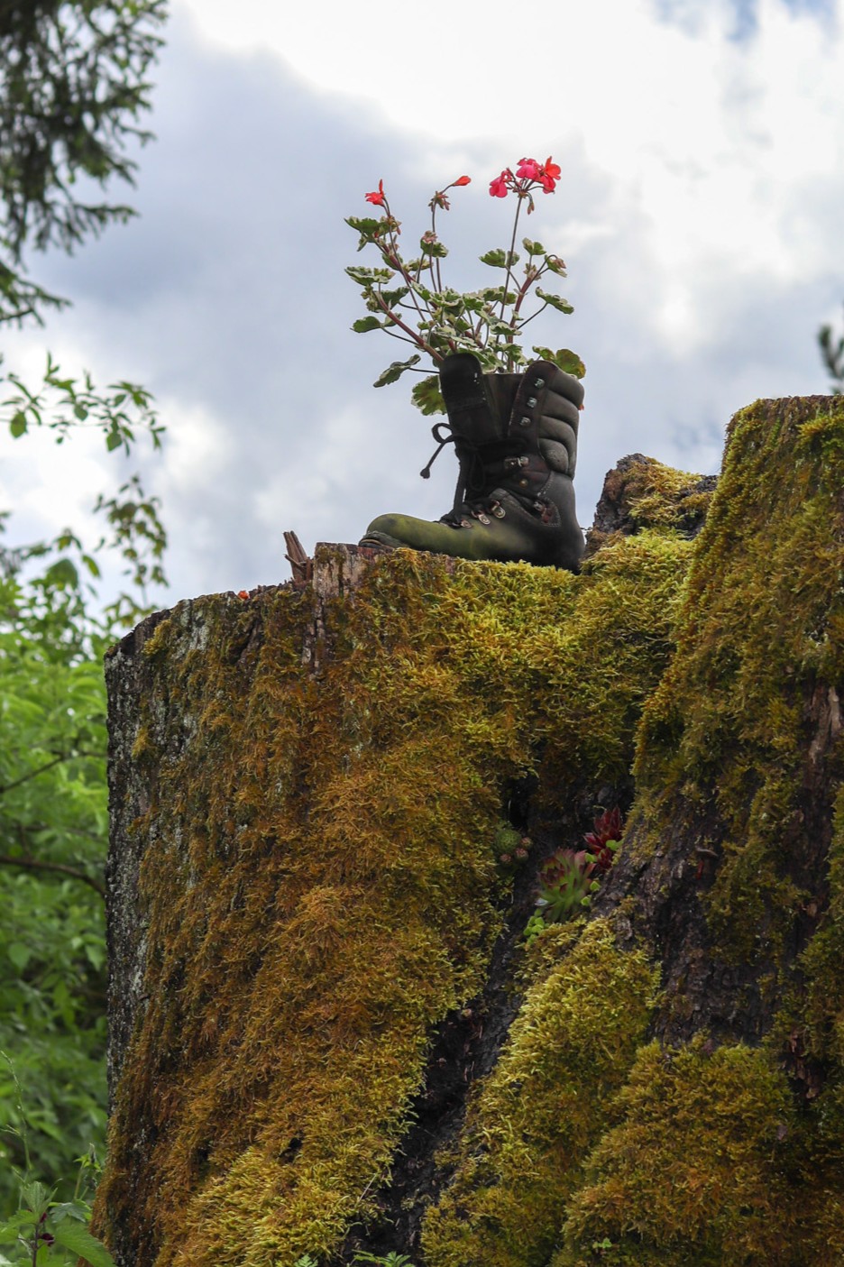 Stiefel mit Blumen
