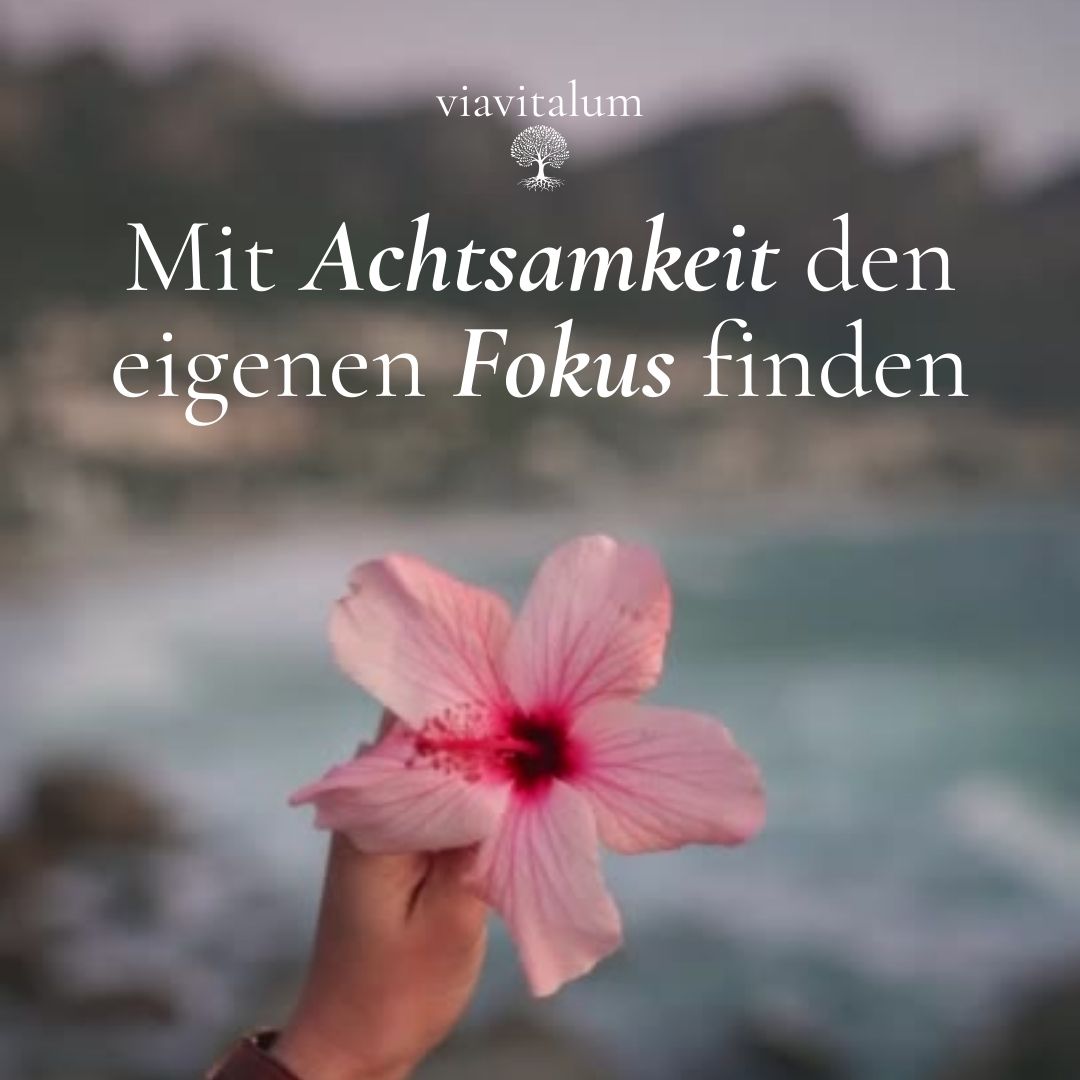 Mit Achtsamkeit den eigenen Fokus finden