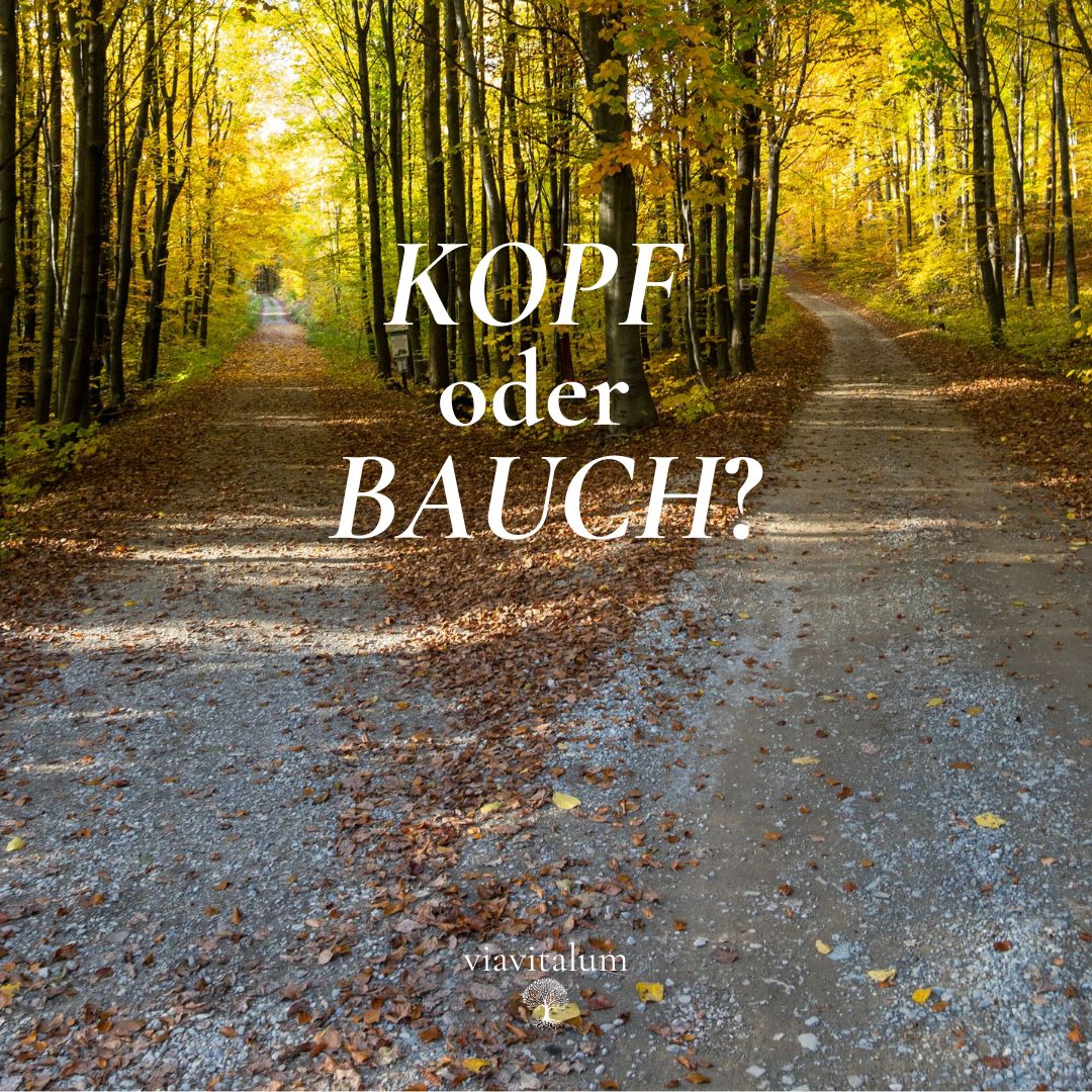 Wer entscheidet für dich: Dein Kopf oder dein Bauch