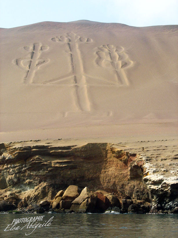 Représentation du cactus sacré sur les dunes de sable inaltérée depuis de très très nombreuses années.