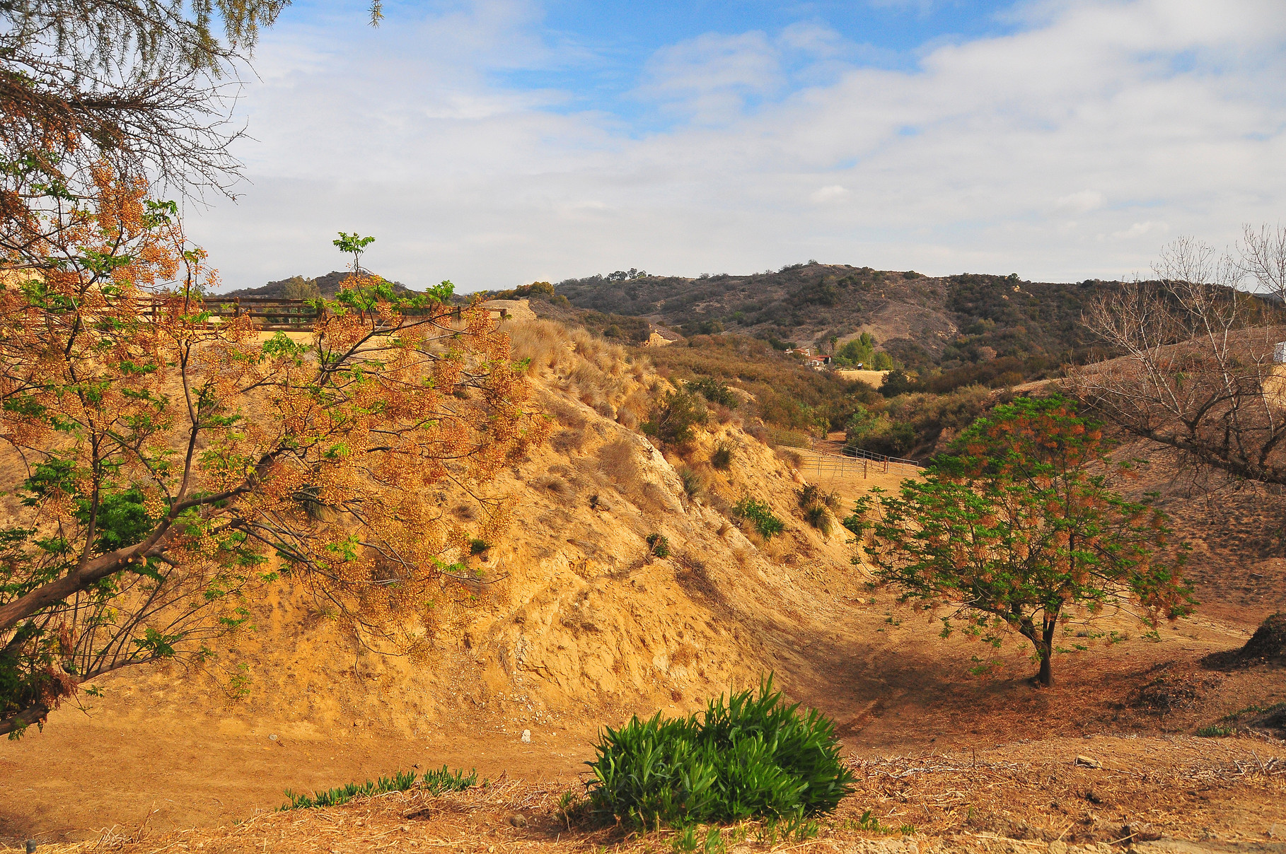 Topanga Canyon