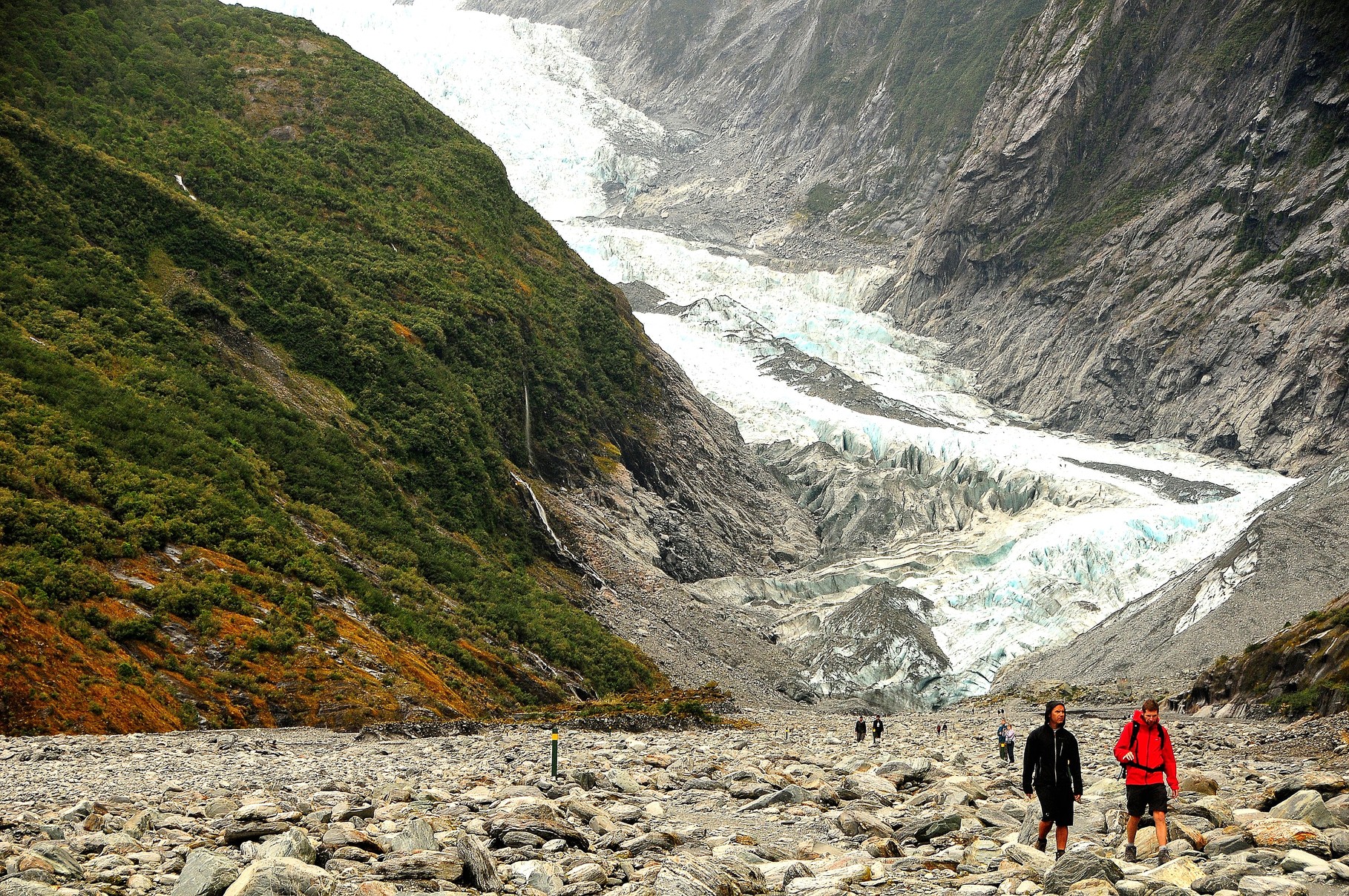 Glacier Gone (Franz-Josef)