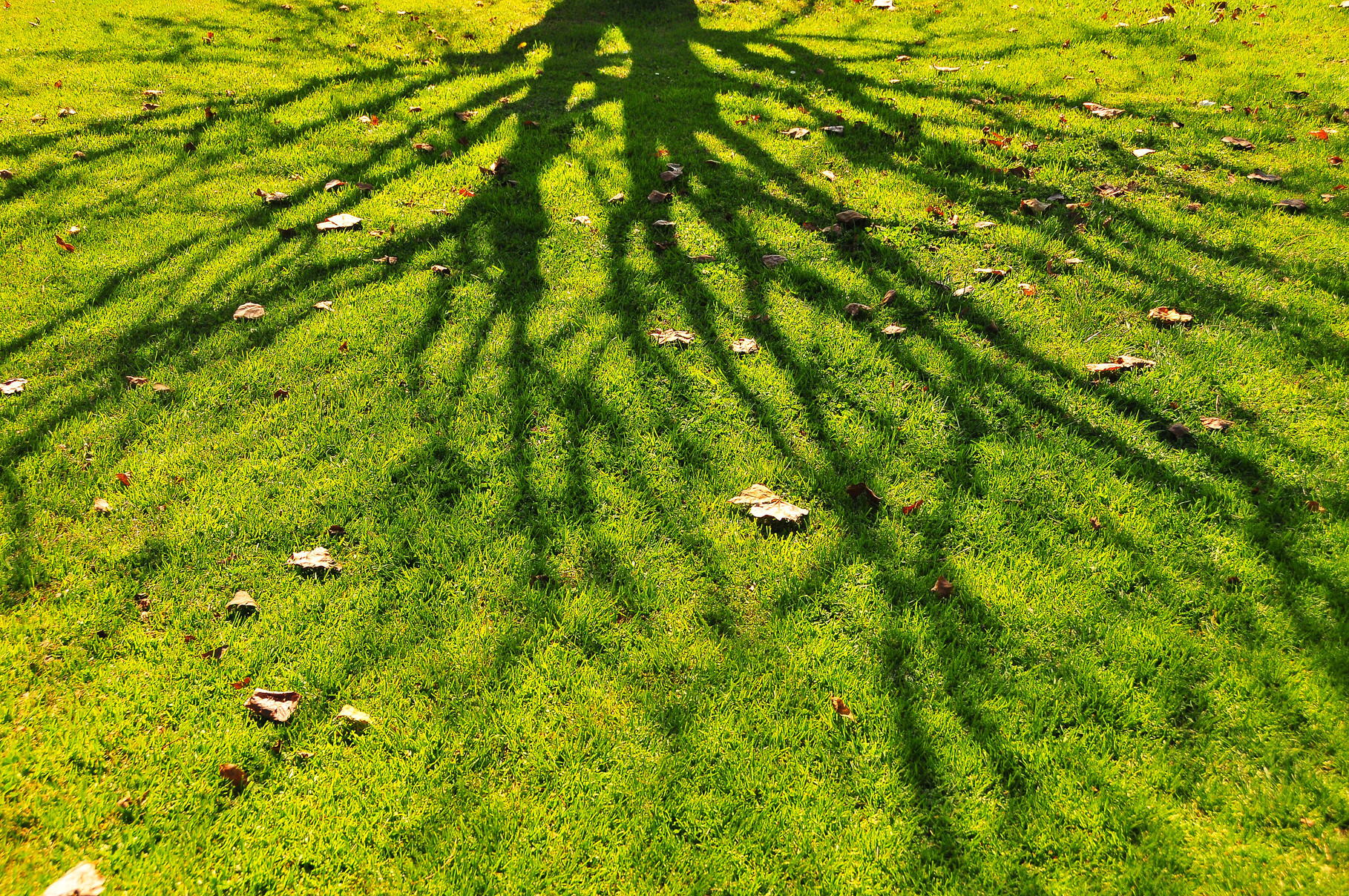 Shadows on Vicente