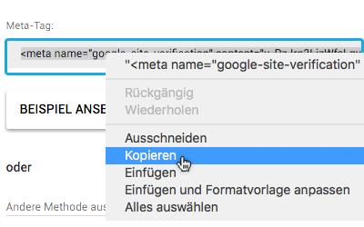 Google Apps Meta-Tag kopieren