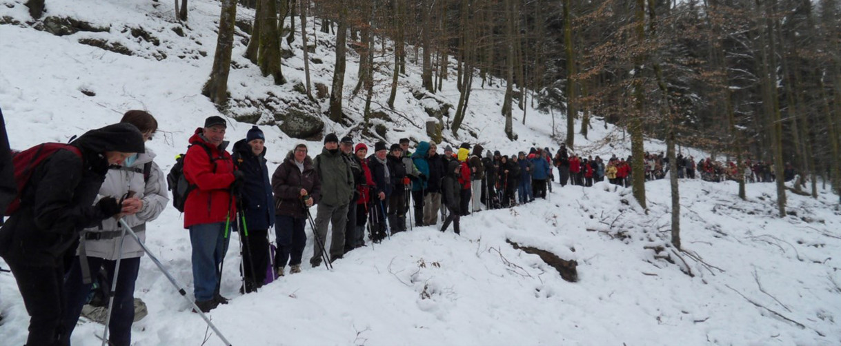 Marche Hivernal du District II de la Fédération du Club Vosgien à St-Quirin                                                                                                                       