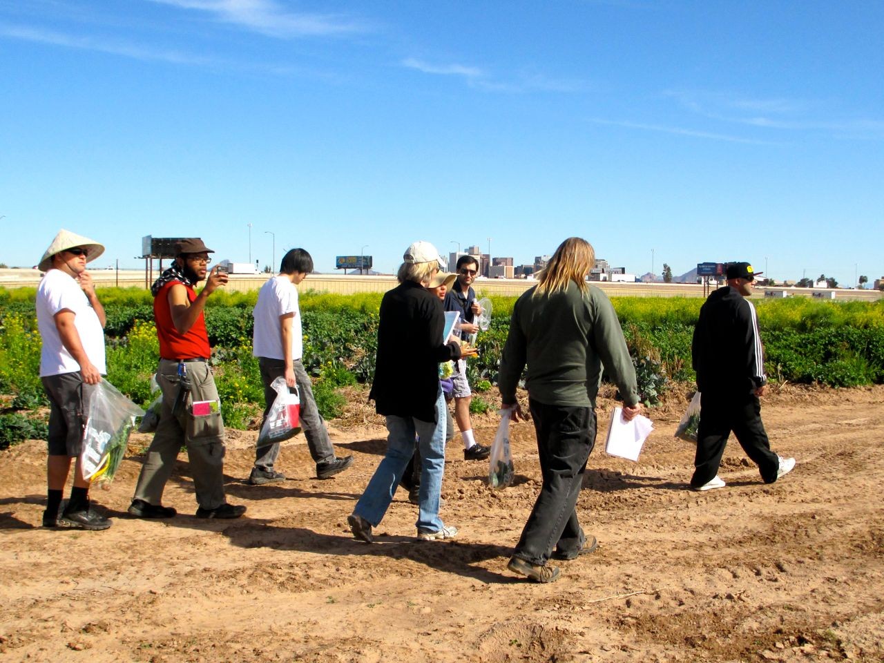 Farming in the City