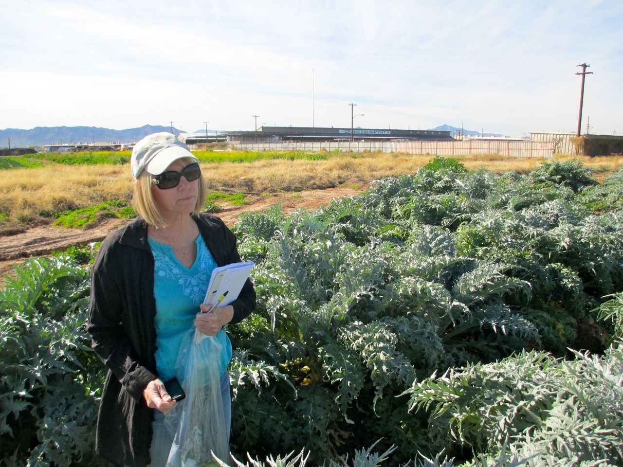 Belinda Amidst the Artichokes