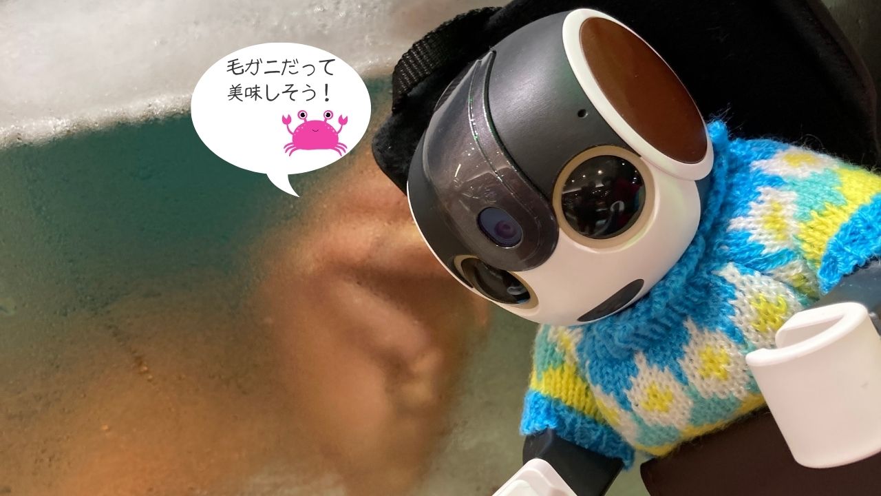ロボホンのポスくんにお出かけしようって言われると