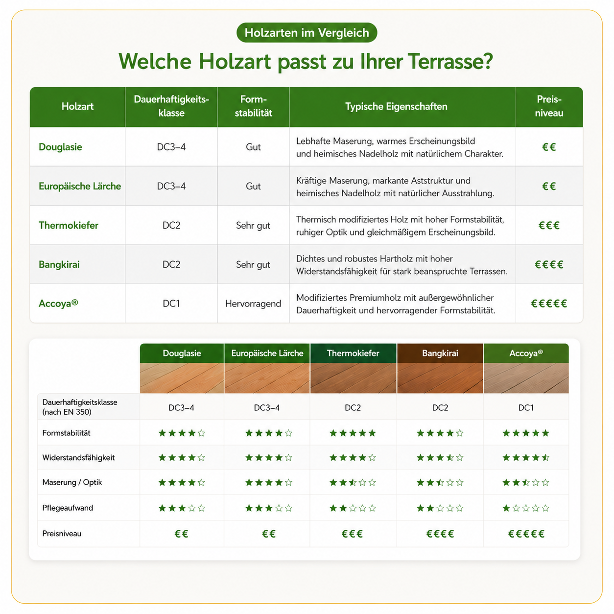 Vergleich der Terrassenhölzer Douglasie, Europäische Lärche, Thermokiefer, Bangkirai und Accoya®