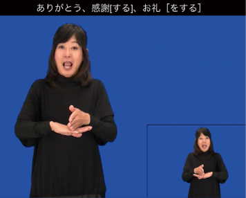 SmartDeafの反転動画