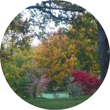 November News -Wendepunkte