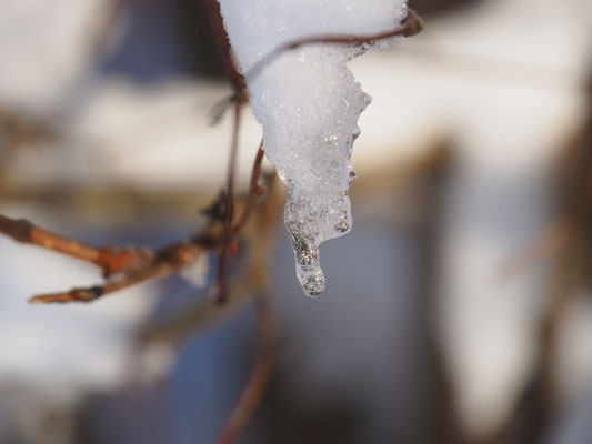 WinterSchweiz_balanceYou!©ChristinaBecker