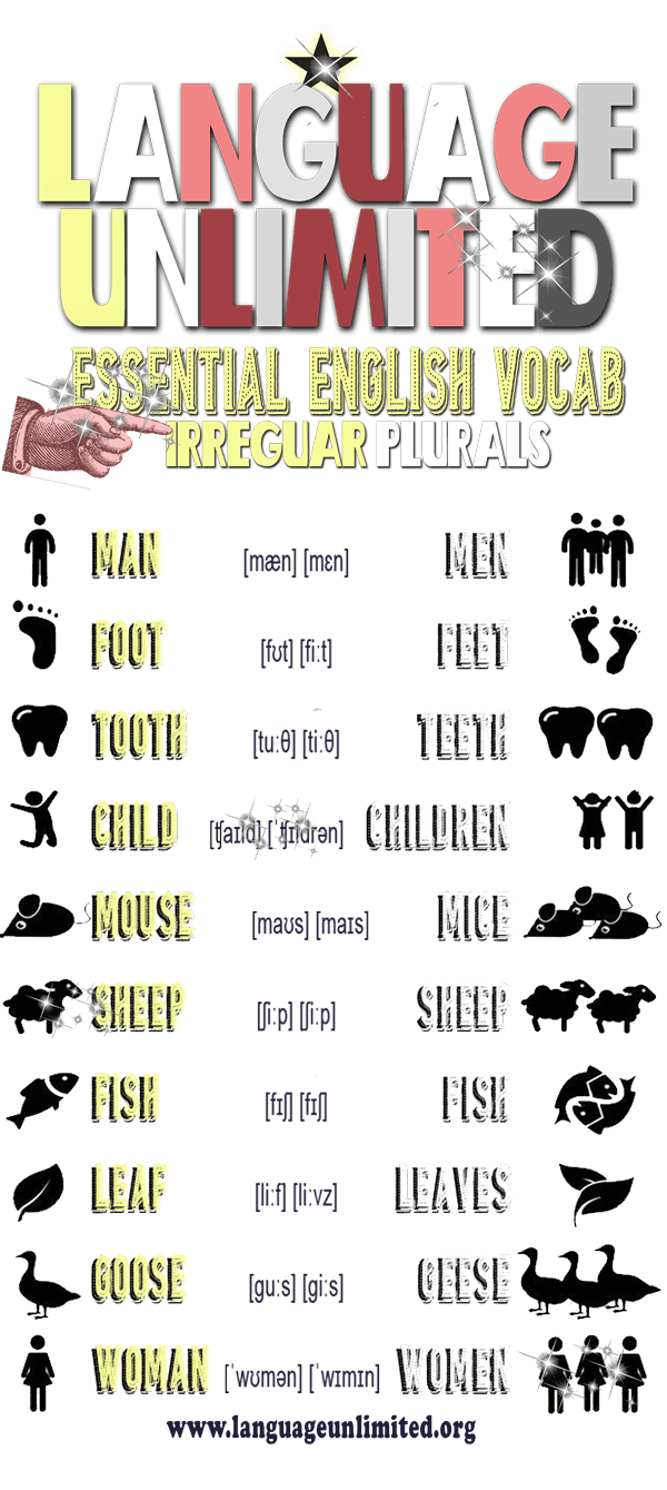 Essential English language vocabulary infographic. 'Irregular plural nouns'