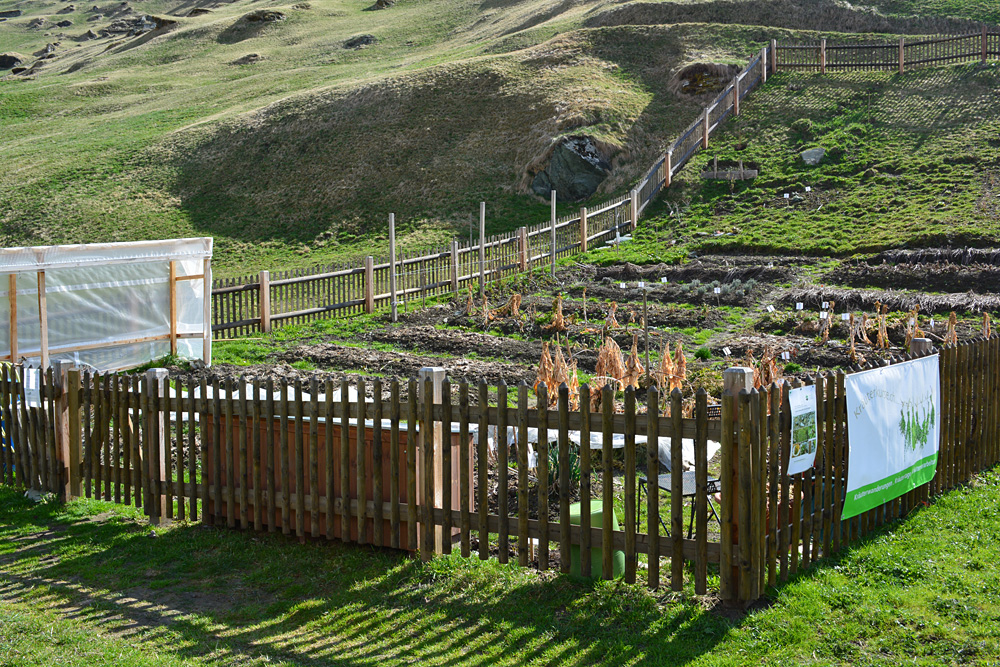 ...Aufbauarbeit - Kräuter Heilkräuter Garten Bio-Gemüse