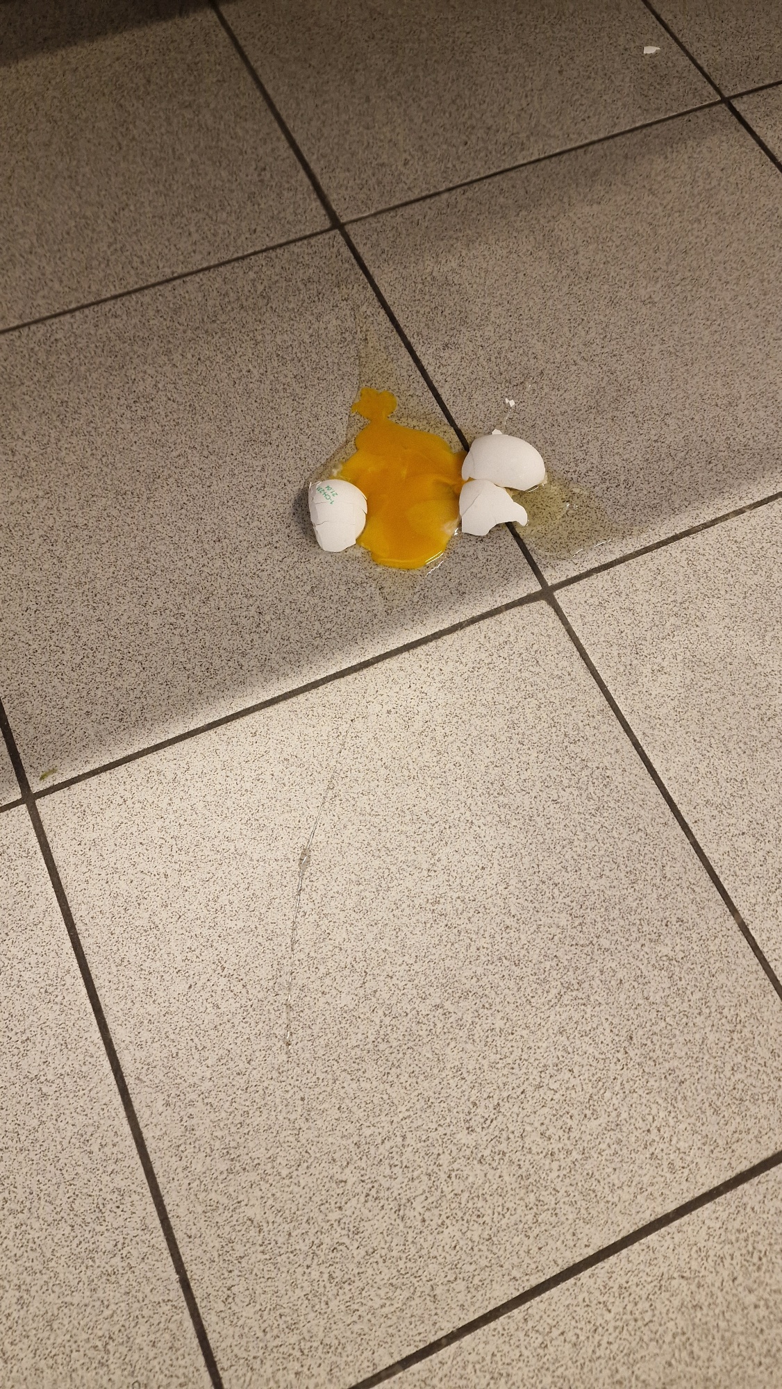 Da ist ein Ei. Wer es wohl verloren hat?