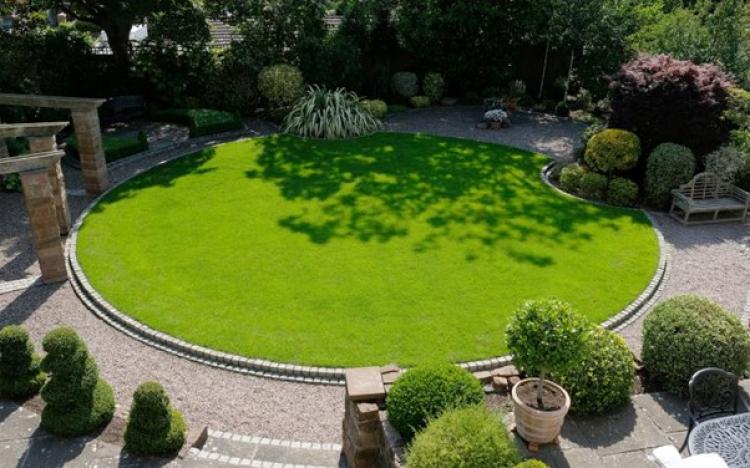New year New lawn 