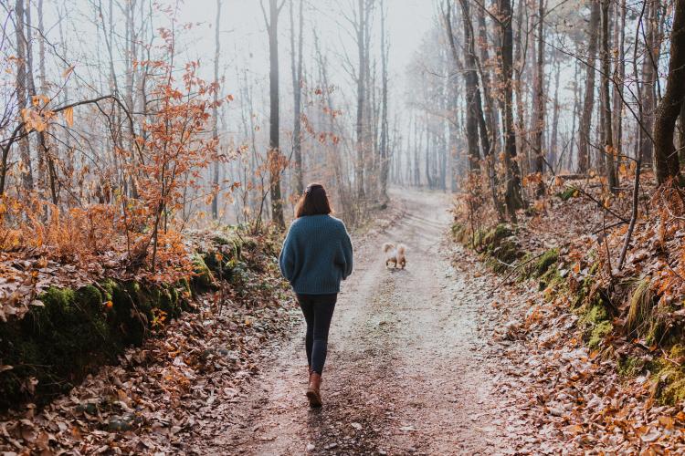 Winter walks and wellbeing
