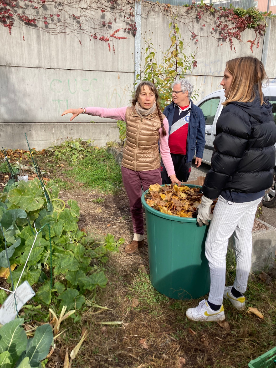 foglie secche per preparare il terreno all'inverno