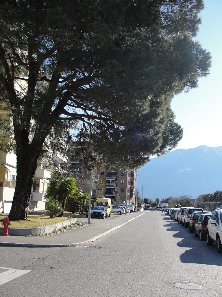 Via San Jorio