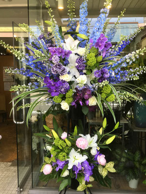 ￥33.000