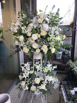 ￥22.000