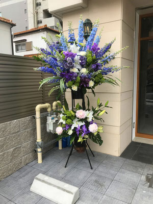 ￥33.000