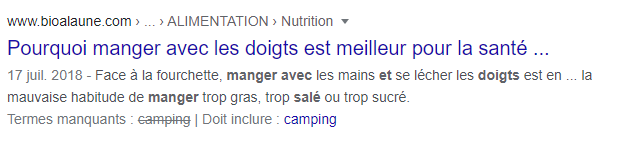 meta description créée par Google