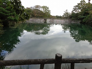 静かな池