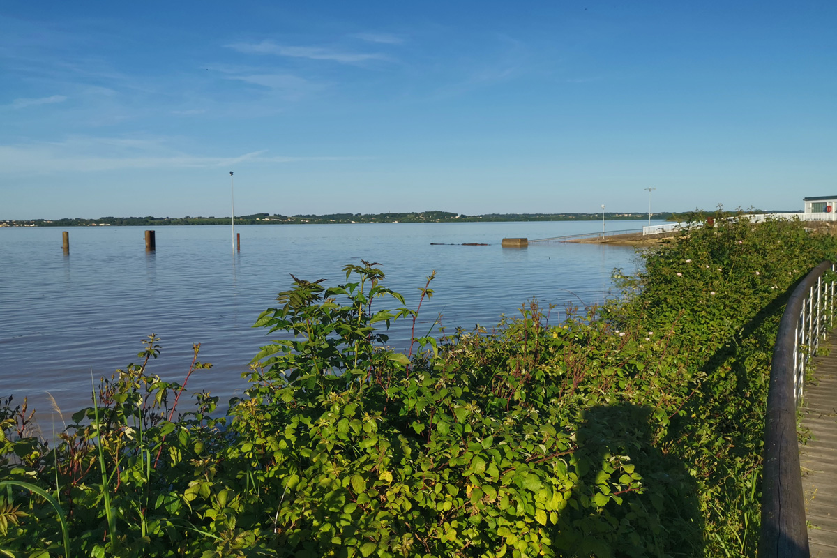 Bei der Fähre über den Gironde in Lamarque