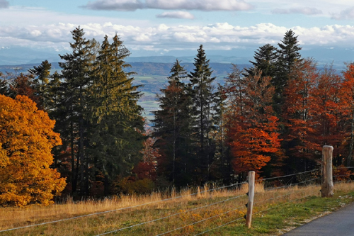 Kleine Reisen im Herbst