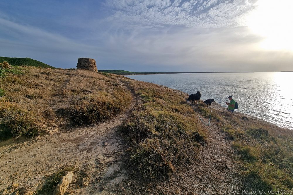 NARBOLIA - AM STRAND VON IS ARENAS