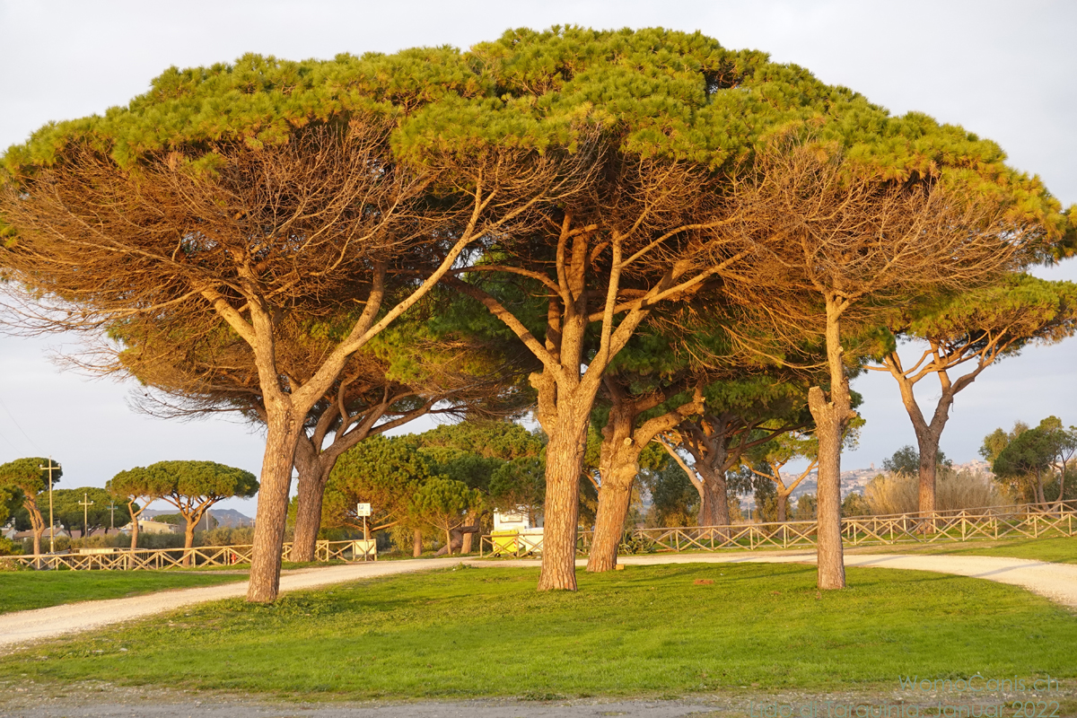 Lido di Tarquinia