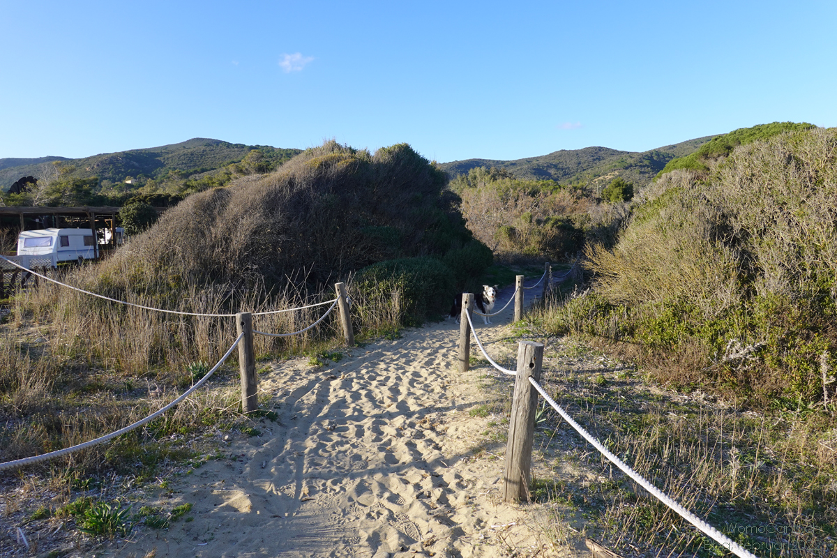 Unser Strand in Elba