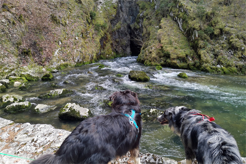 An der Quelle des Doubs