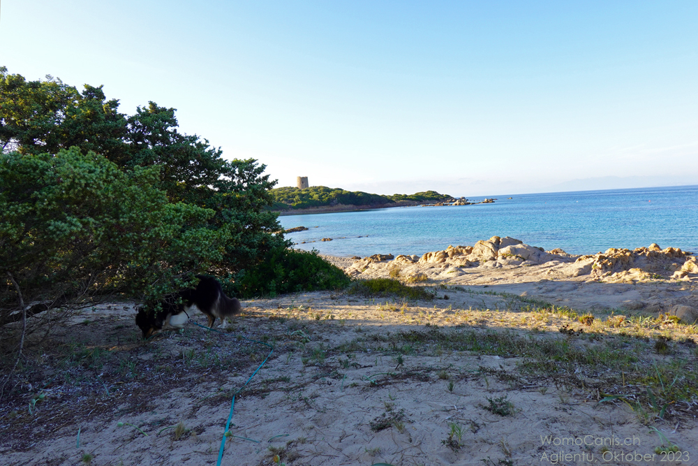 VIGNOLA MARE - STRAND UND TURM