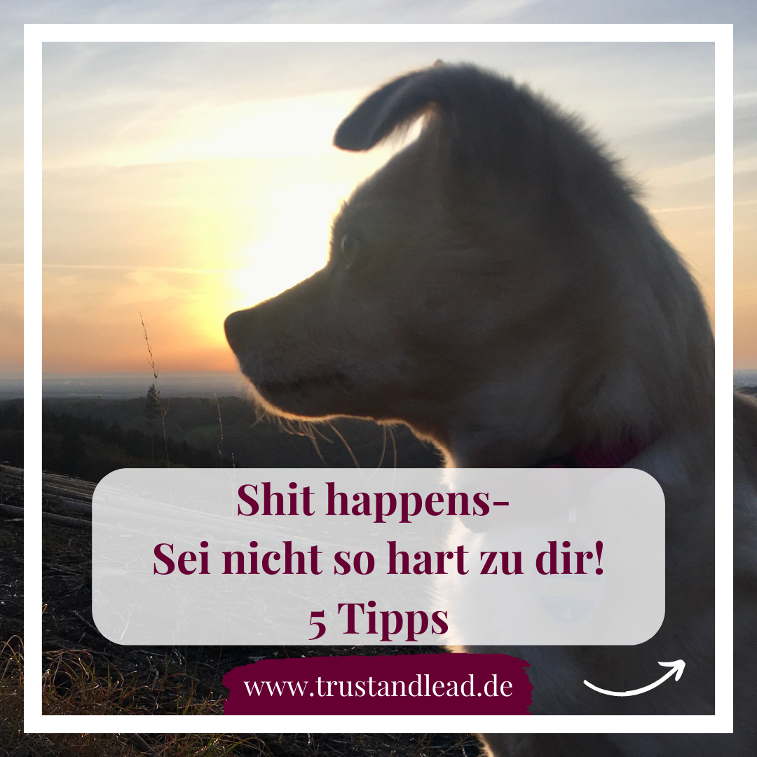 Shit happens- Sei nicht so hart zu dir!