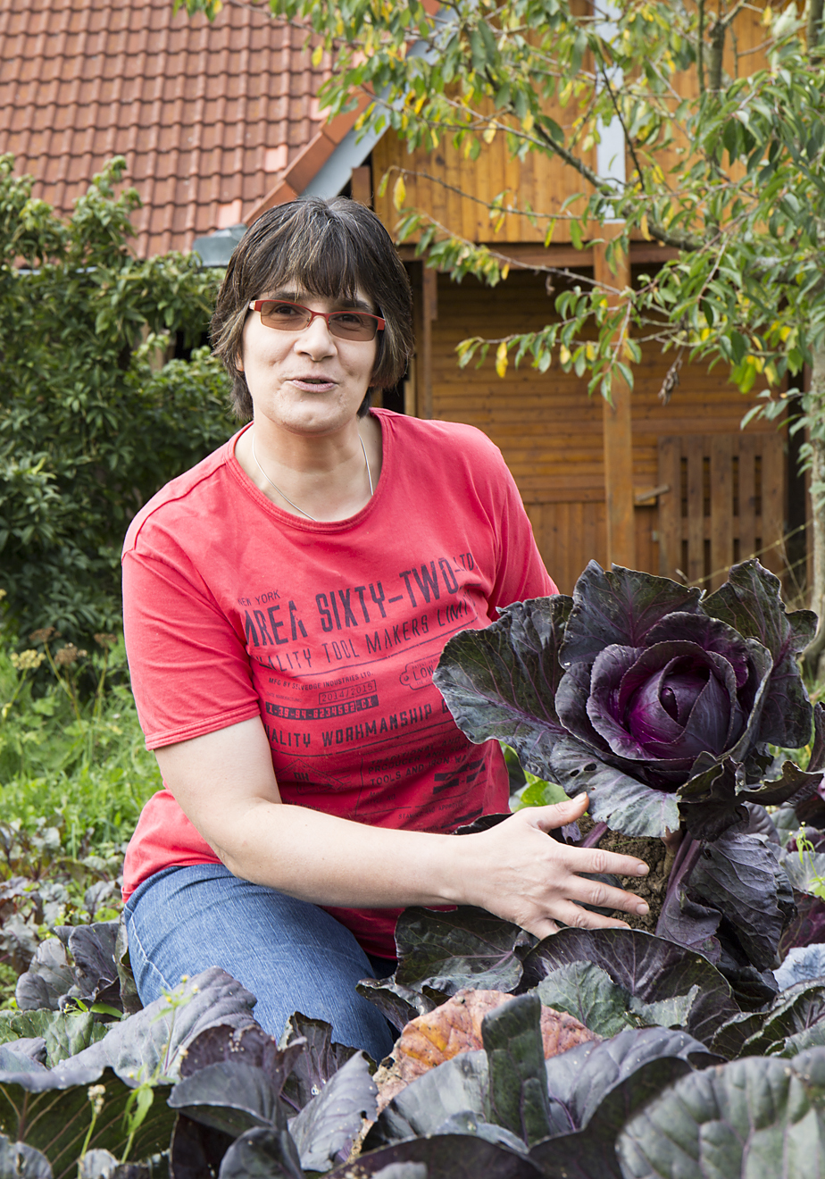 Hieraus wird Rotkohl-Salat erzeugt