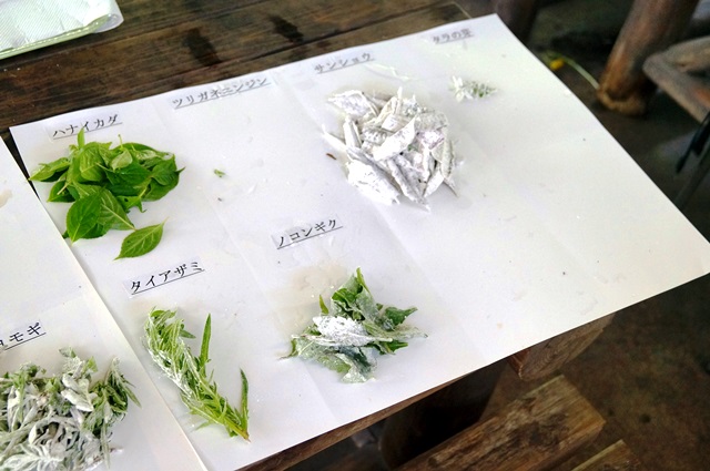 何の野草を摘んできたのかな?