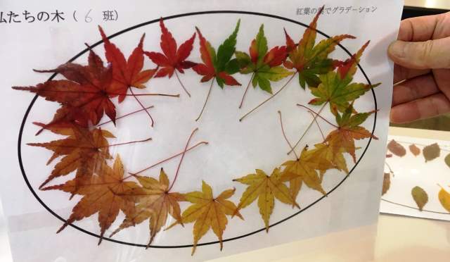 おちばのグラデーション