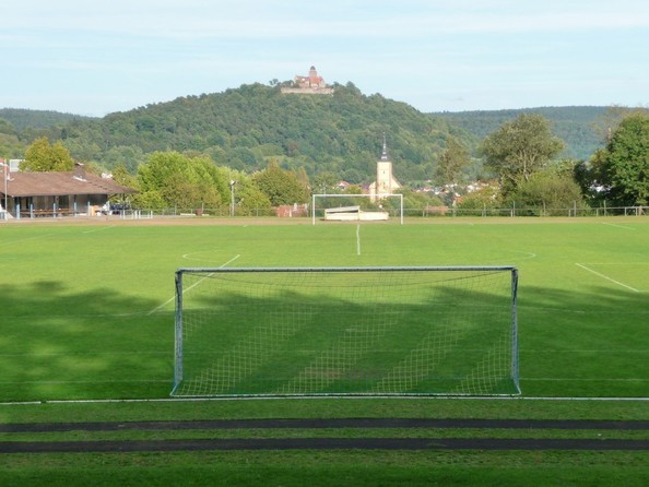 Stadion am See 2011 mit Naturrasen